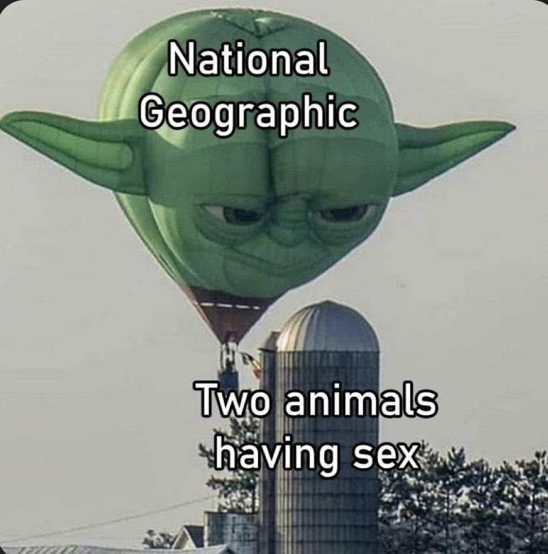 PicturesFoIder's tweet image. 