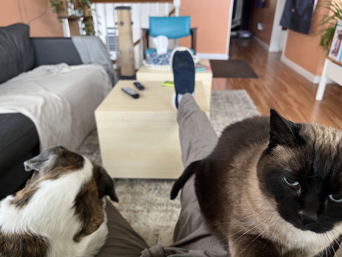 Brandon R. Briggs tweet media