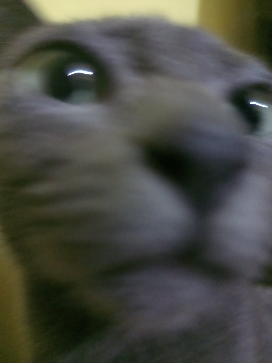 privatekittyy's tweet photo. https://t.co/jphr3hYone