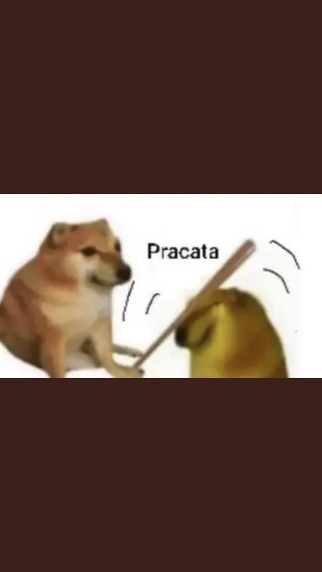 miguelgr2583's tweet photo. @VickyDavilaH @CarlosFGalan @JDOviedoA @Rodrigo_Lara_ @JERobledo @Diego_Molano @ElGeneralVargas @GustavoBolivar @JERobledo @RobledoPrensa con los candidatos a la #alcadia 😂😂😂#debatedecandidatos #EsTiempoDeBogotá https://t.co/QWlAU2ULOG