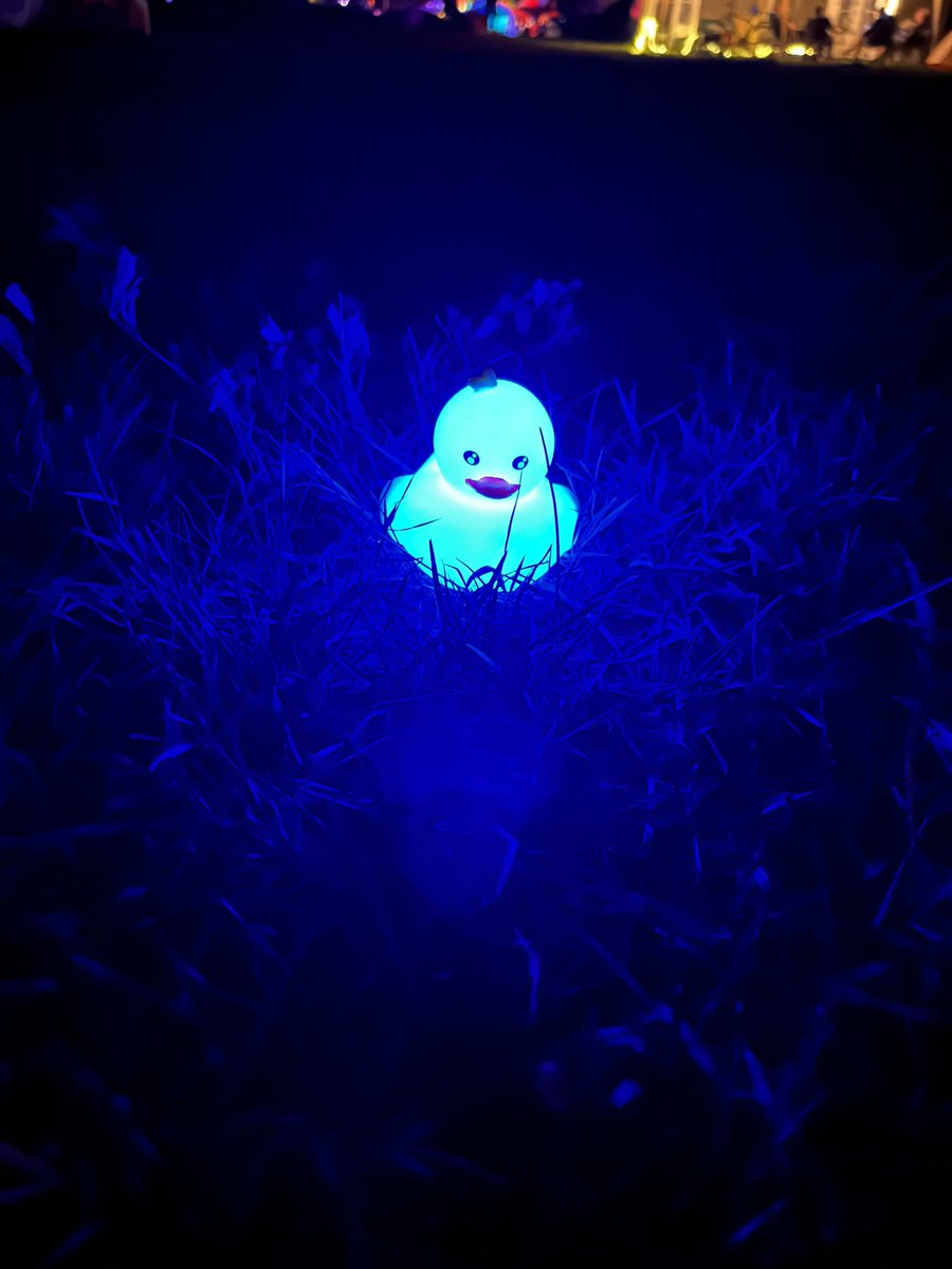 /dev/base tweet media