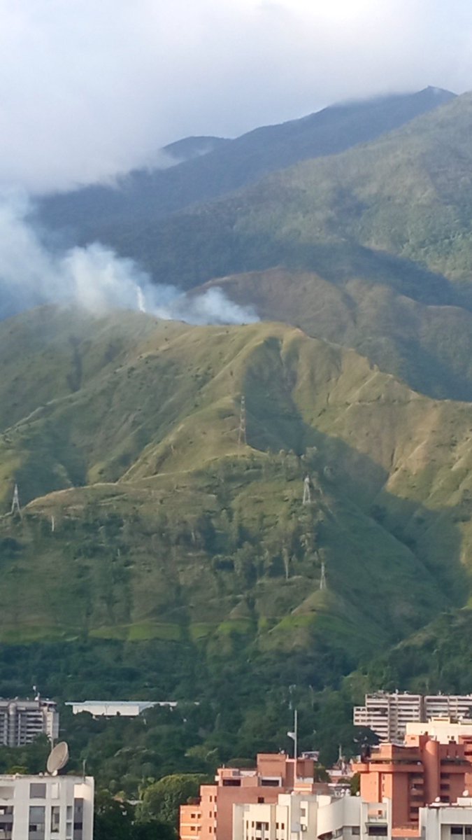 Reporte Ya tweet media