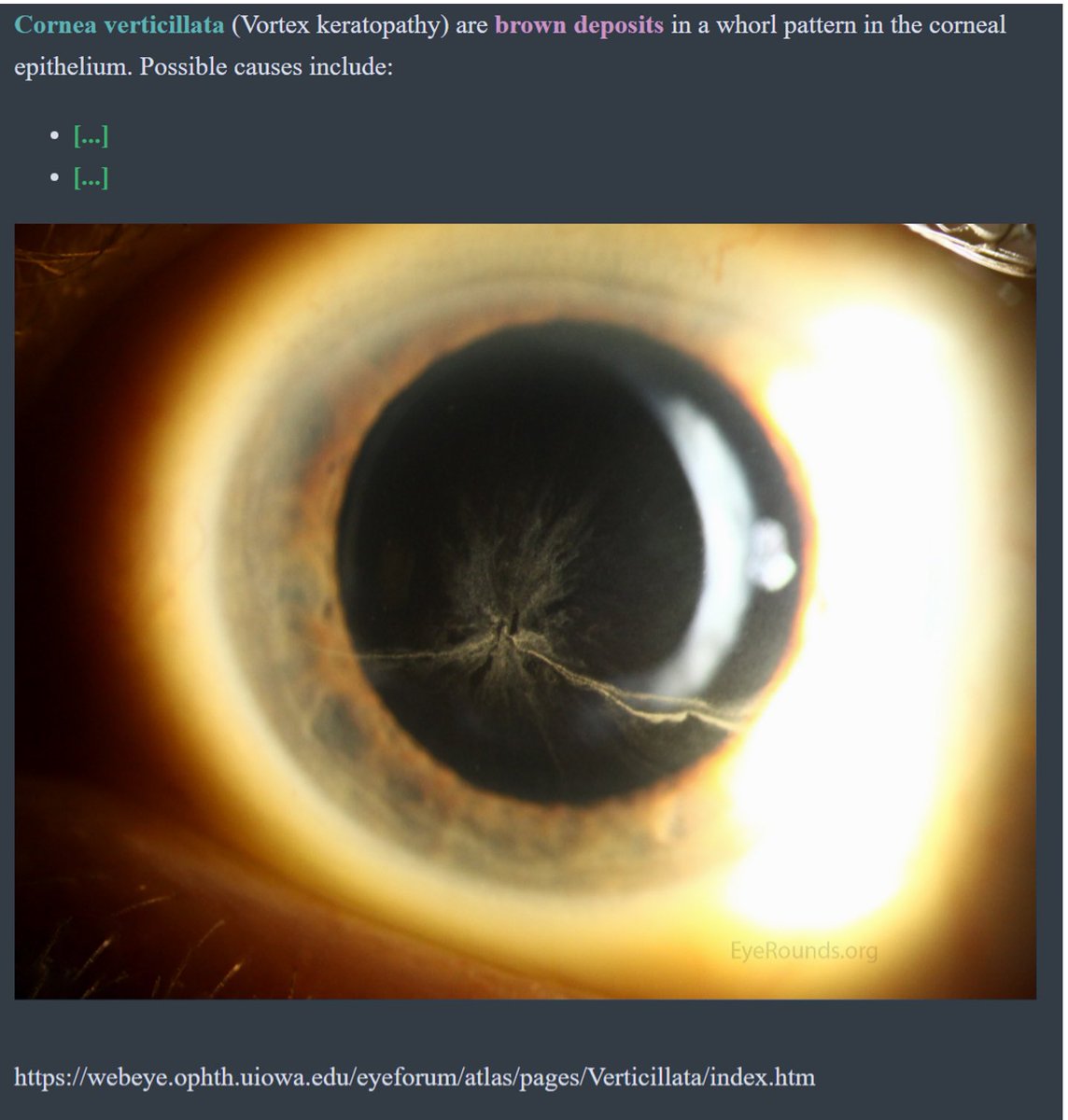 EyeRounds tweet media