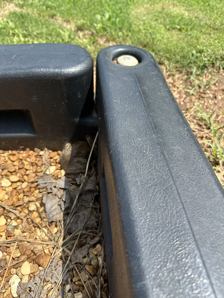 Ms. Woods’ World Changers tweet media