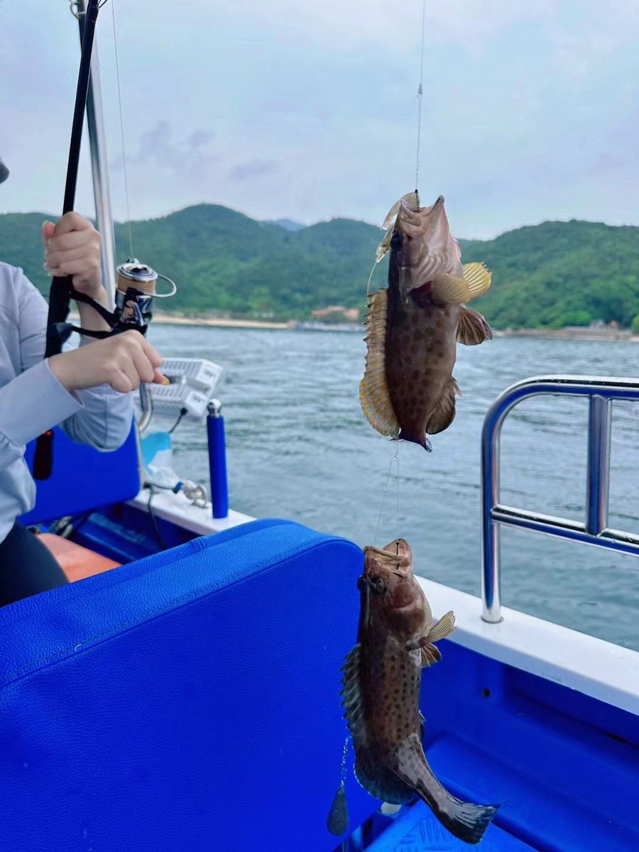 VeraaaYang's tweet image. I'm going to be the woman who conquers the sea.
Anyone want to join me?

#Seafishing
#Hooks
#Fishinggear
#Fishfarming
#Seaside
#Speedboatfishing
#Fishingtournaments
#fishing