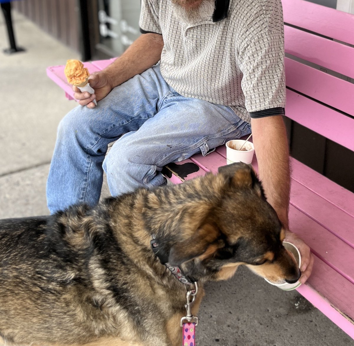 gigoodog's tweet photo. Enjoying a delicious vanilla pup cup @LicsIce! https://t.co/HYpxIk105t