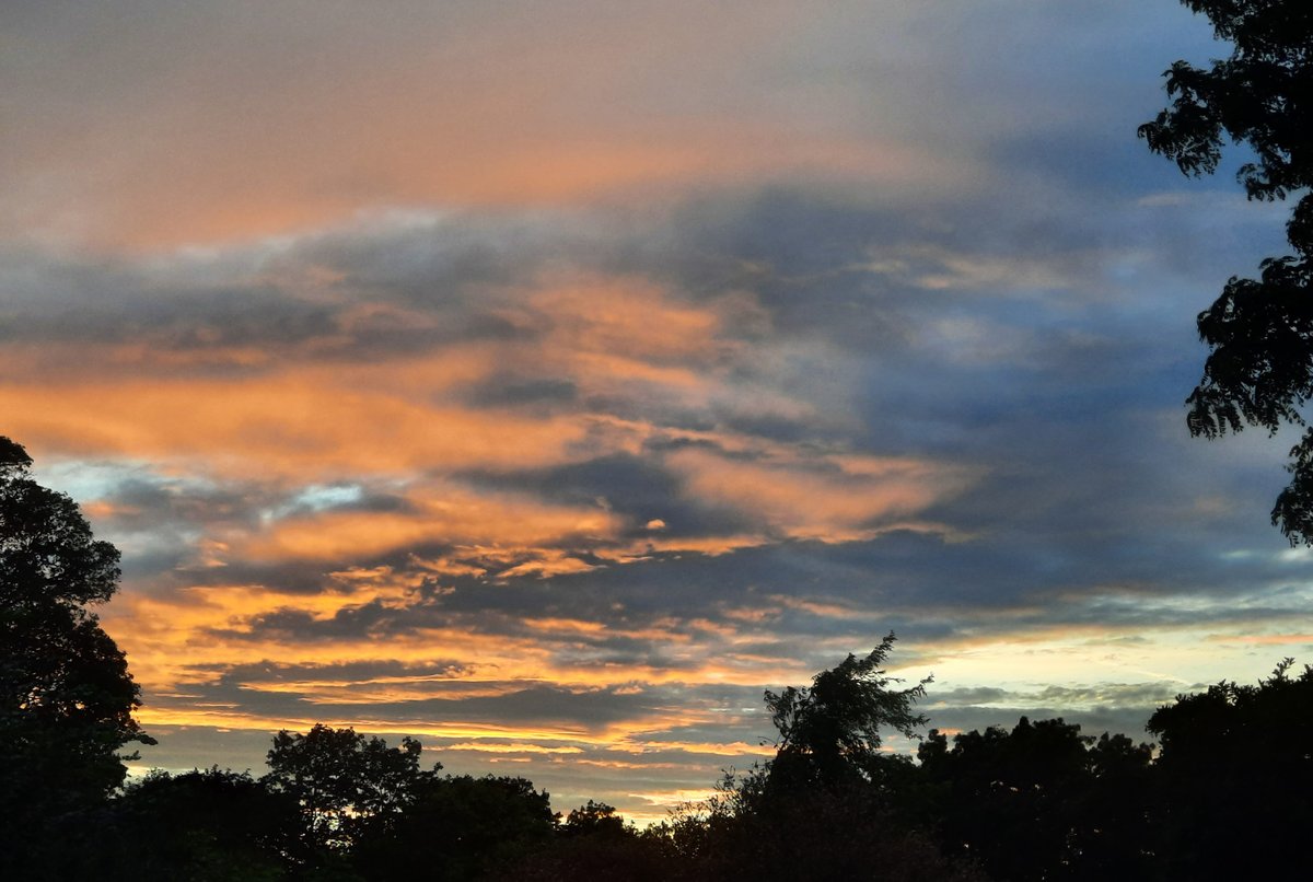 This evening's #sunset <a href="/clissoldpark/">Clissold Park</a>, just a few dog walkers left, an oasis of calm
