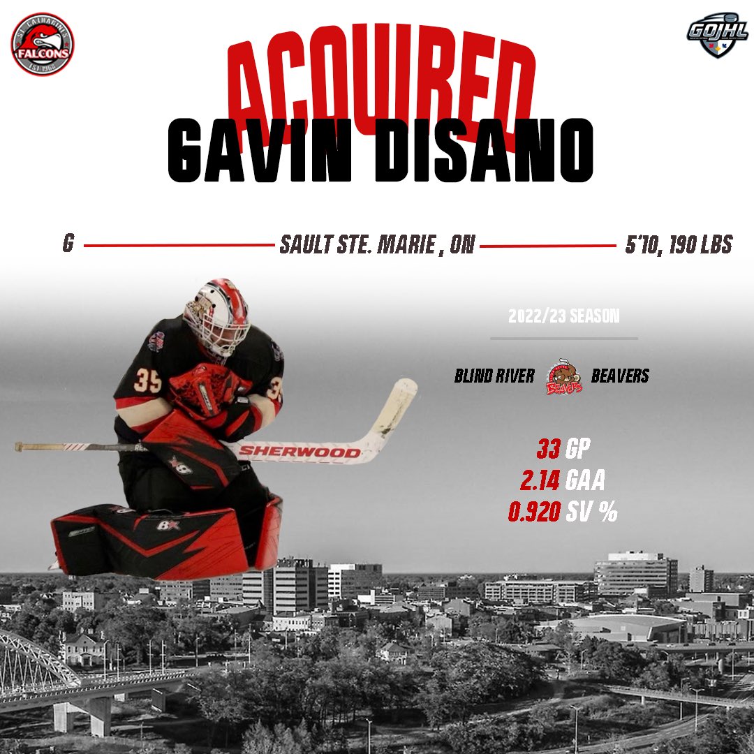 St. Catharines Falcons tweet media