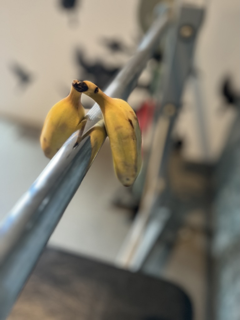 We've been extolling the virtues of baby bananas... don't get mushy, creamy flavor, snack size. 

BUT GET THIS. After leaving about 5 in the fridge for 6 days, they are still perfect. 
#tryit #bananas #babybananas #producepicks