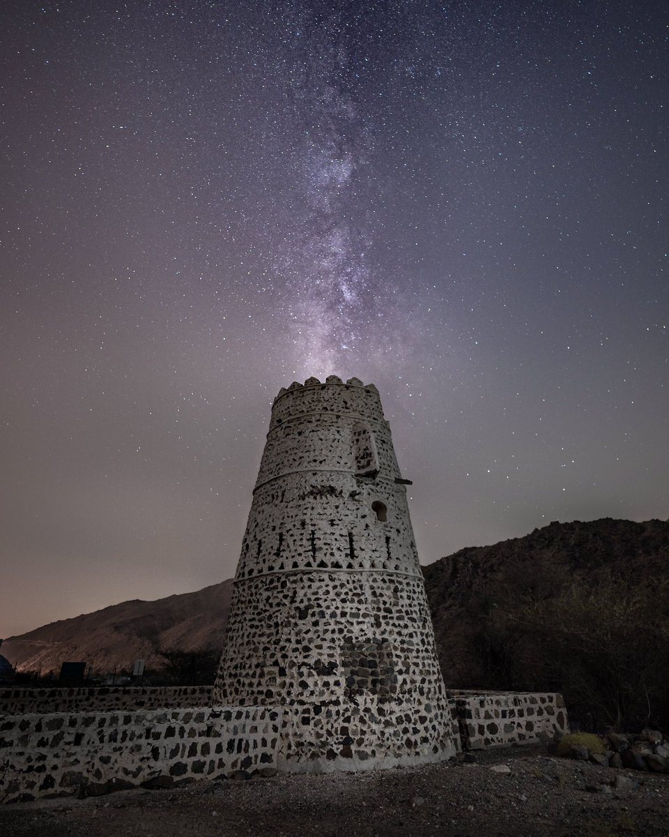 Rami Dibo tweet media