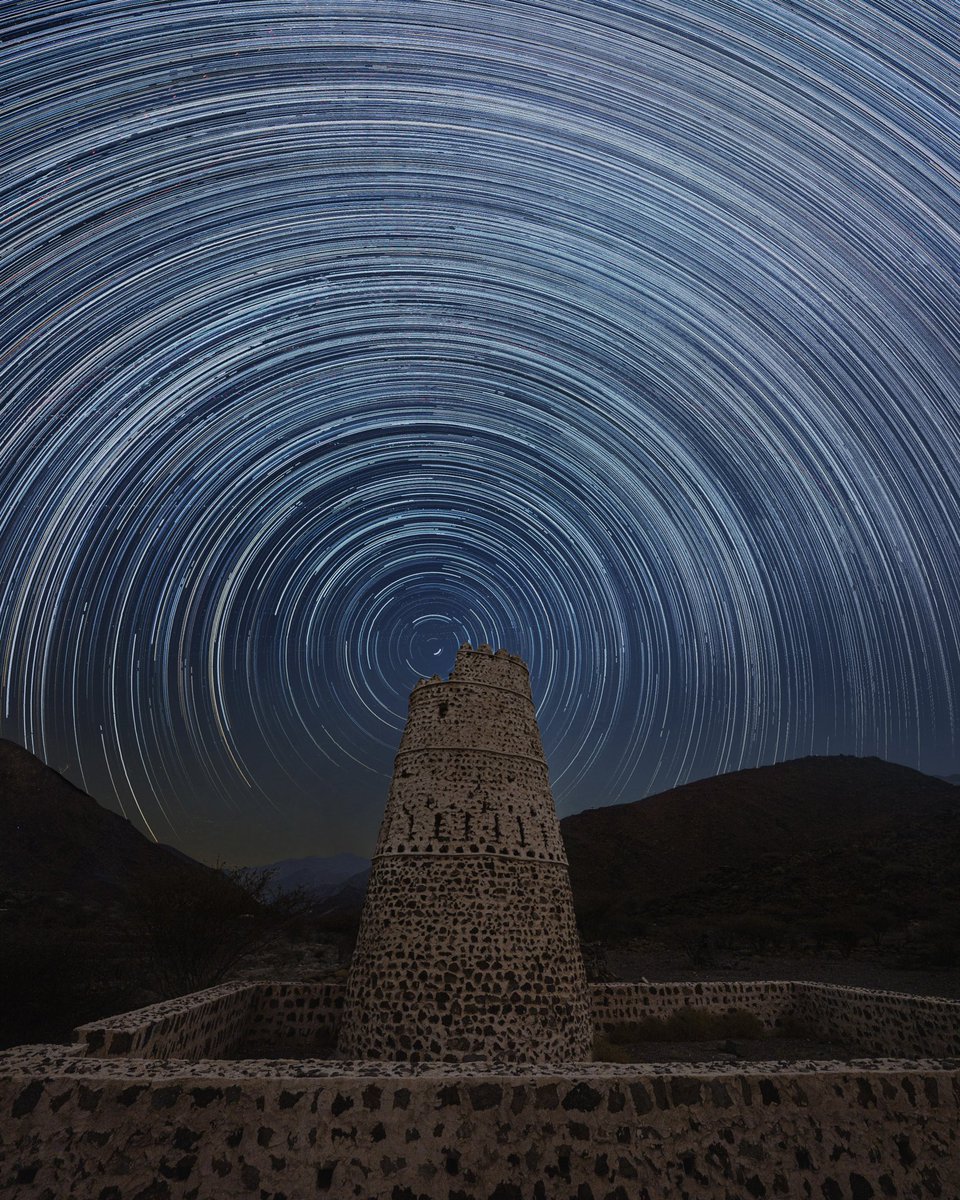 Rami Dibo tweet media