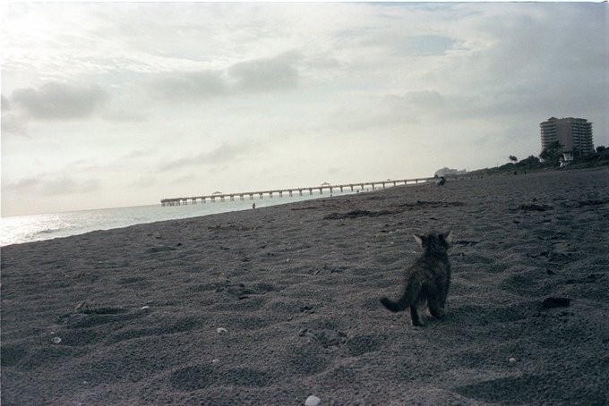 Sandy baby nugget ☀️ https://t.co/Si3pzYYvlX