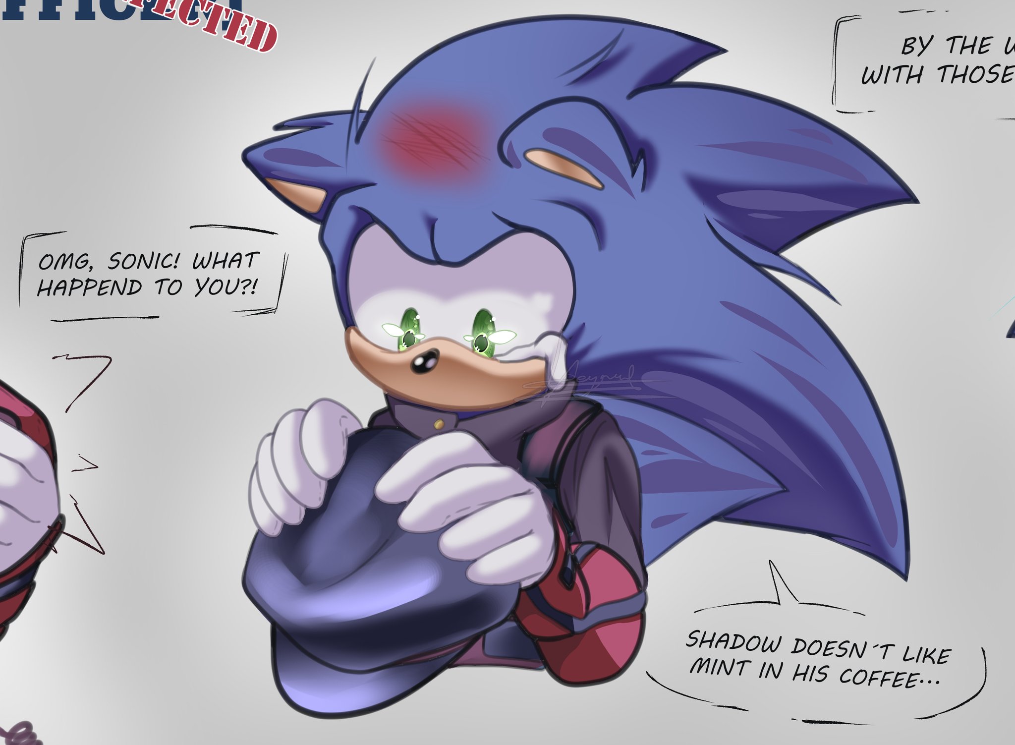 sonicthehedgehog, sonic the hedgehog, sonadow / protection - pixiv