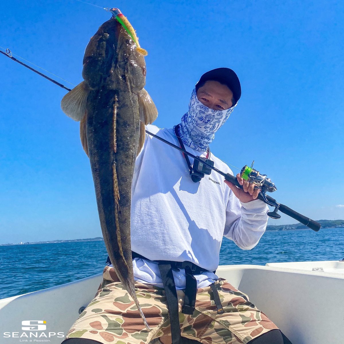 sei_uchida_fish's tweet photo. 急遽Tsulinoスタッフの皆さんと知多半島で出船。今年は聖地化してたらしい知多マゴチ。しかしこの日はレアな釣れない日🎣初釣りでしたがラッキーパンチで大型マゴチキャッチ。スタッフの皆さんとルアーのおかげです🙇♂️ #BlueBlueFishing #JOLTY #JOLTY30g #PoisonU https://t.co/LwpqwIEHFV
