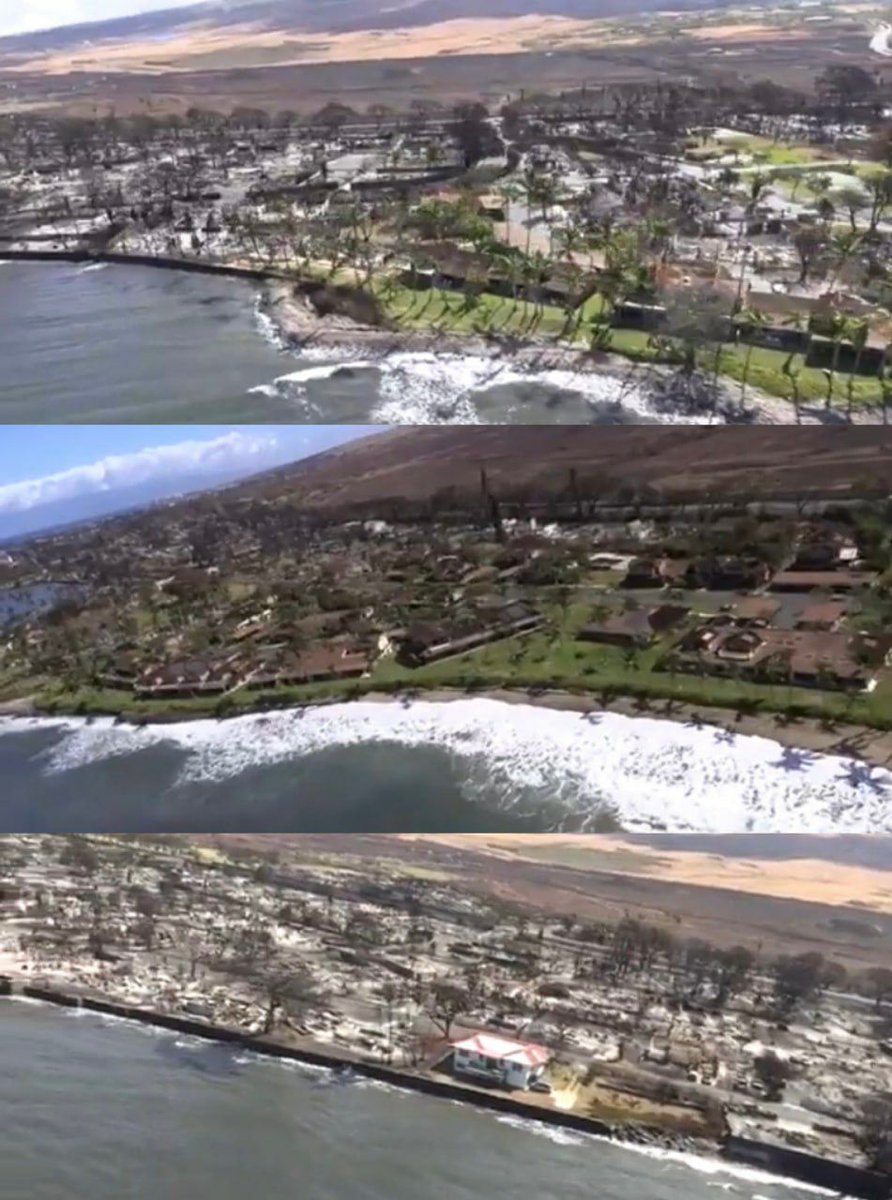 🚨 Los lugareños en Maui se negaban a vender sus tierras a las élites 🚨

⚠️ La parte de la isla principalmente destruida por los incendios era un área privilegiada justo al lado de lujosas megamansiones ⚠️

⚠️ Ahora, muchos de esos lugareños se ven obligados a Vender su tierra y