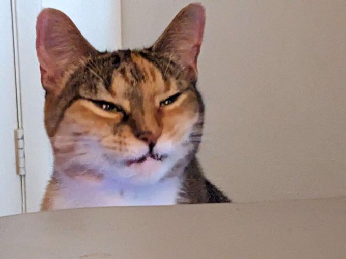 what is wrong with her https://t.co/VF6jXPmm7V