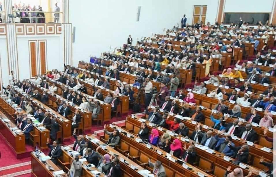 SuleimanAbdell7's tweet photo. Parliament is expected to carry out its basic functions of representing the electorate, making laws and overseeing the government. For the #Ethiopian parliament to abdicate any one of its functions at this critical moment, 
to comply with the dictates of the gov’t rather than question, and reject its unjust declaration of the state of emergency declaration, will be a dire historical error. One that will be hard to justify to the electorate! #JusticeForEthiopia
#AmharaGenocide 
@BBCWorld @addisstandard @POTUS @SecBlinken @AJEnglish