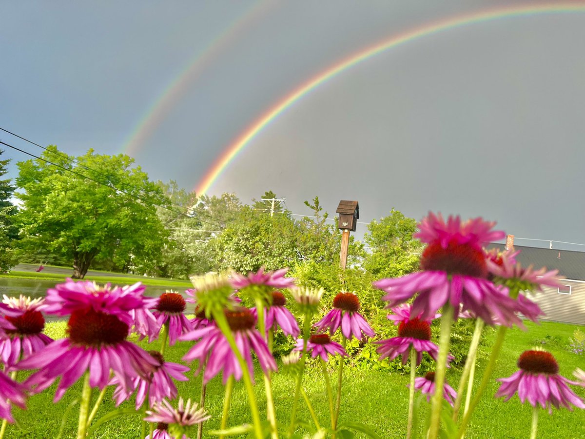 Thunderstorms and rainbows- two of my favorite things in the summer.
