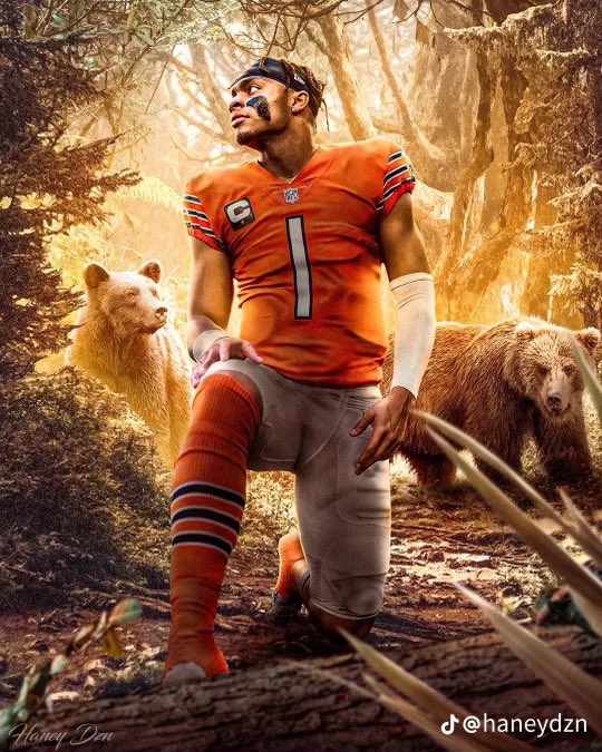 Now this one.. 🐻⬇️