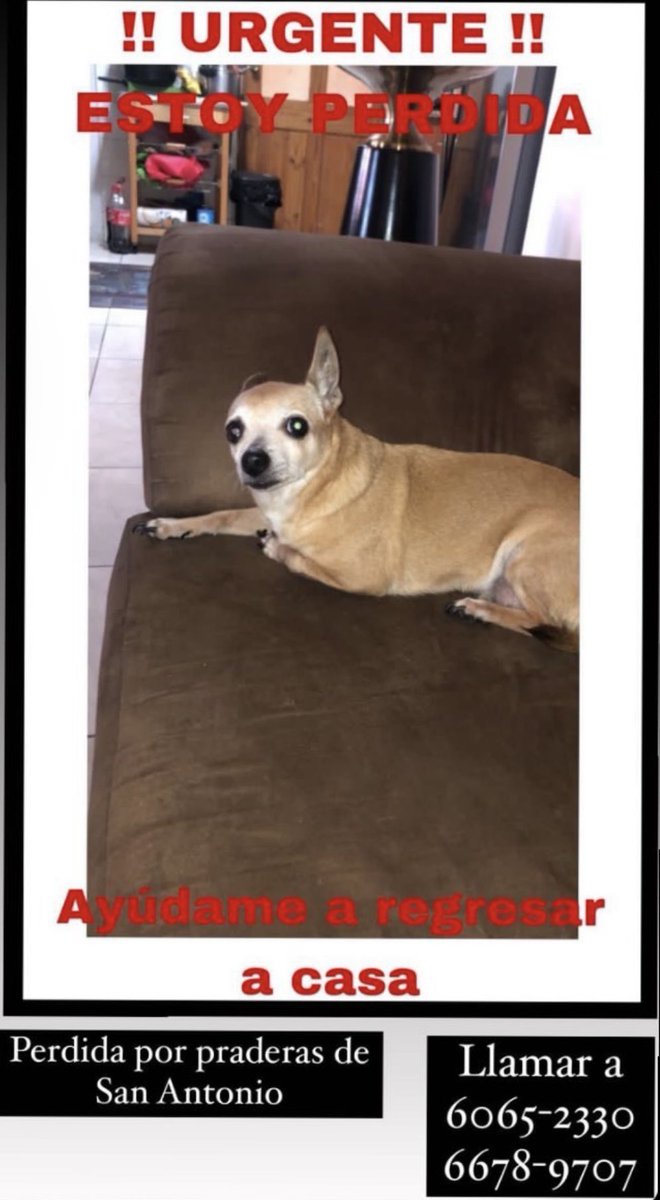 ivetteodalys's tweet photo. FAVOR COMPARTIR 
Su familia la busca con esperanza de encontrarla https://t.co/mwqoH2F240