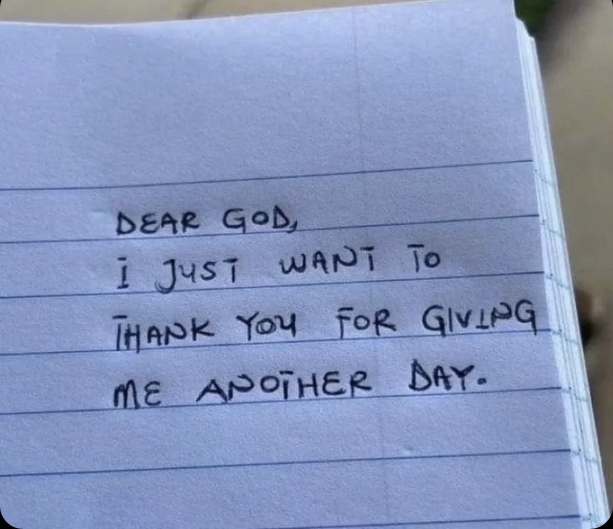 DaCryptoRex's tweet image. Good morning crypto community 

Say “GM”