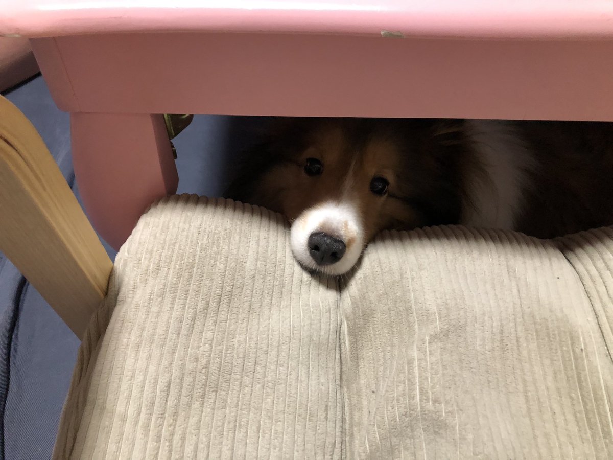 mary3dog's tweet photo. おわかり
いただけただろうか？？？ https://t.co/1mhWpFpt1g