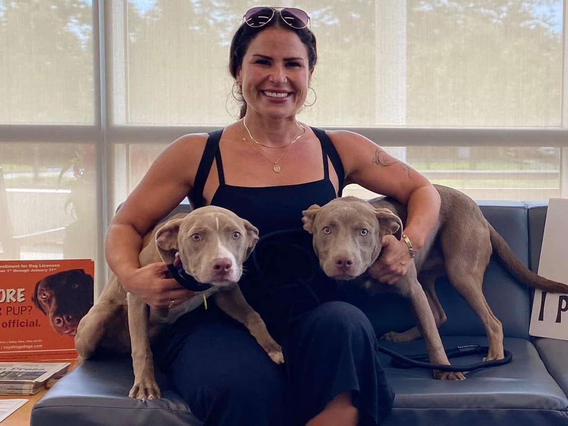 Good_vibes_up's tweet photo. JACK & JILL got ADOPTED together!! 😍😍😍

TYSM Mom & @CityDogsCLE #OH 

Twitter Rescue Network ⬇️⬇️⬇️

@reddogsusie @TaniaHop3 @WinglessBird_ @SandraK93322487 @for_pittys @NMBewitched @ckarr2 @venetianblonde @Dubs4Mutts @MyBoxerLuvMac1 @mapleveewesem @Gingy4Usa @ohrles @AngelaORegan7 @JayneMarie007 @Janetlynne211 @rollca49 @MelissaRNMBA  @DebraDragonhea2 @jijmpel @EMluvsPibbles @AnneBay4 @betsrosed @MaeDavi34581419 @beeleevitonly @DarleneSwan11 @SherMoss7  @sharon58642664 @DebbieS00060220 @PhaedraXTeddy @ColleenOwens4 @Gailmike101 @VinnAntonelli @nasrene41 @LisaBrabson @MelodyLenz6 @PitbullTina @psychicwhisper3  @lmcplc20169 @Barbann56 @AlisonStruther9 @marilynwinders @the_sigismund @clydeitstime