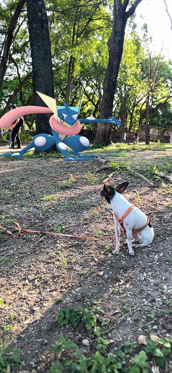 AdolfoTS1's tweet photo. Aquí con la chule buscando a #Greninja @PokemonGoAppLA @GommunityMx https://t.co/dDEL2mtfFR