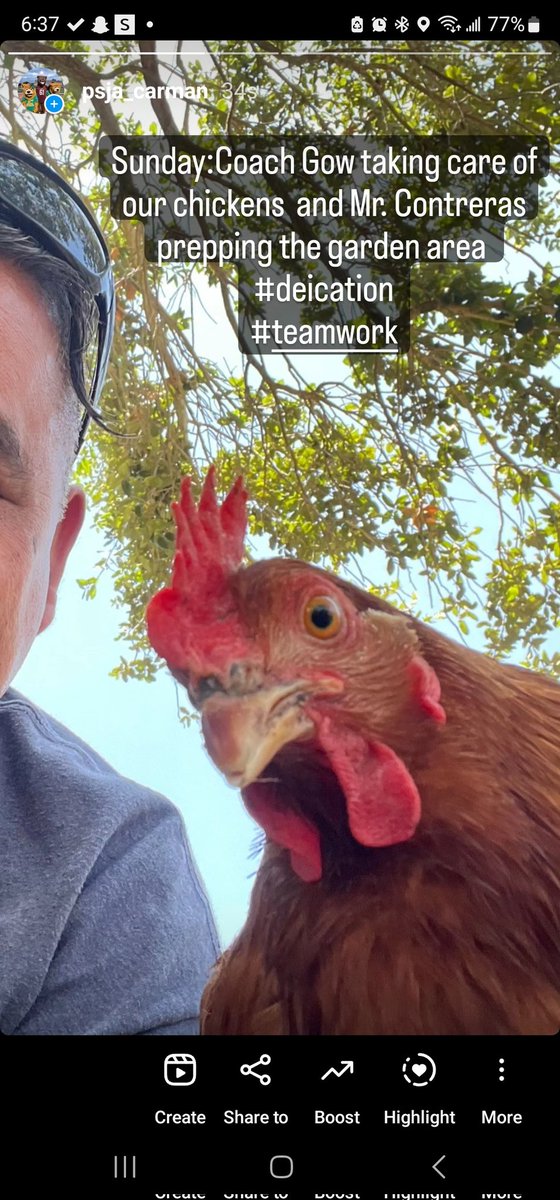 PsjaCarman's tweet photo. Sunday:Coach Gow taking care of our chickens and Mr. Contreras prepping the garden area
#deication
#teamwork https://t.co/Zqu744wxpx