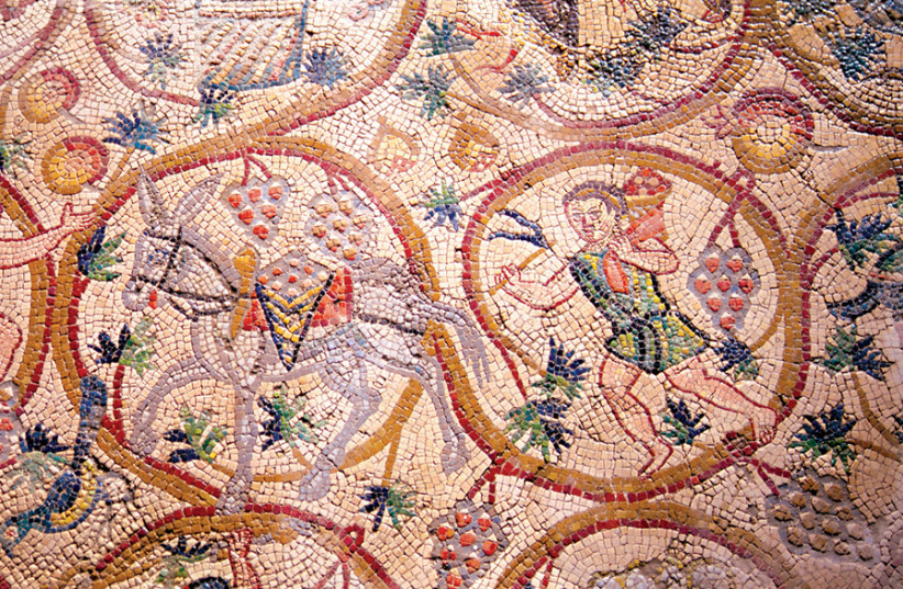 SokolowskiLuk's tweet photo. #MosaicMonday #Scythopolis now Beit She’an in #Israel. Hellenistic settlement under Rome gained free imperial status as the leader of #Decapolis. The thriving center left a rich artistic legacy like the marvelous panel showing a man harvesting vine with a donkey among vine-scroll https://t.co/5kWSfoCaFT