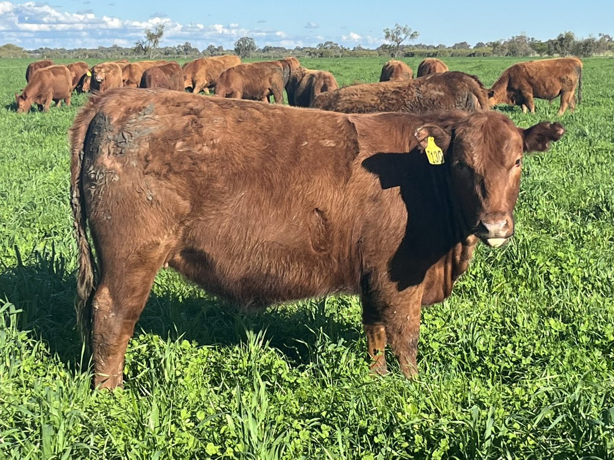 Phil Barrett-Lennard tweet media