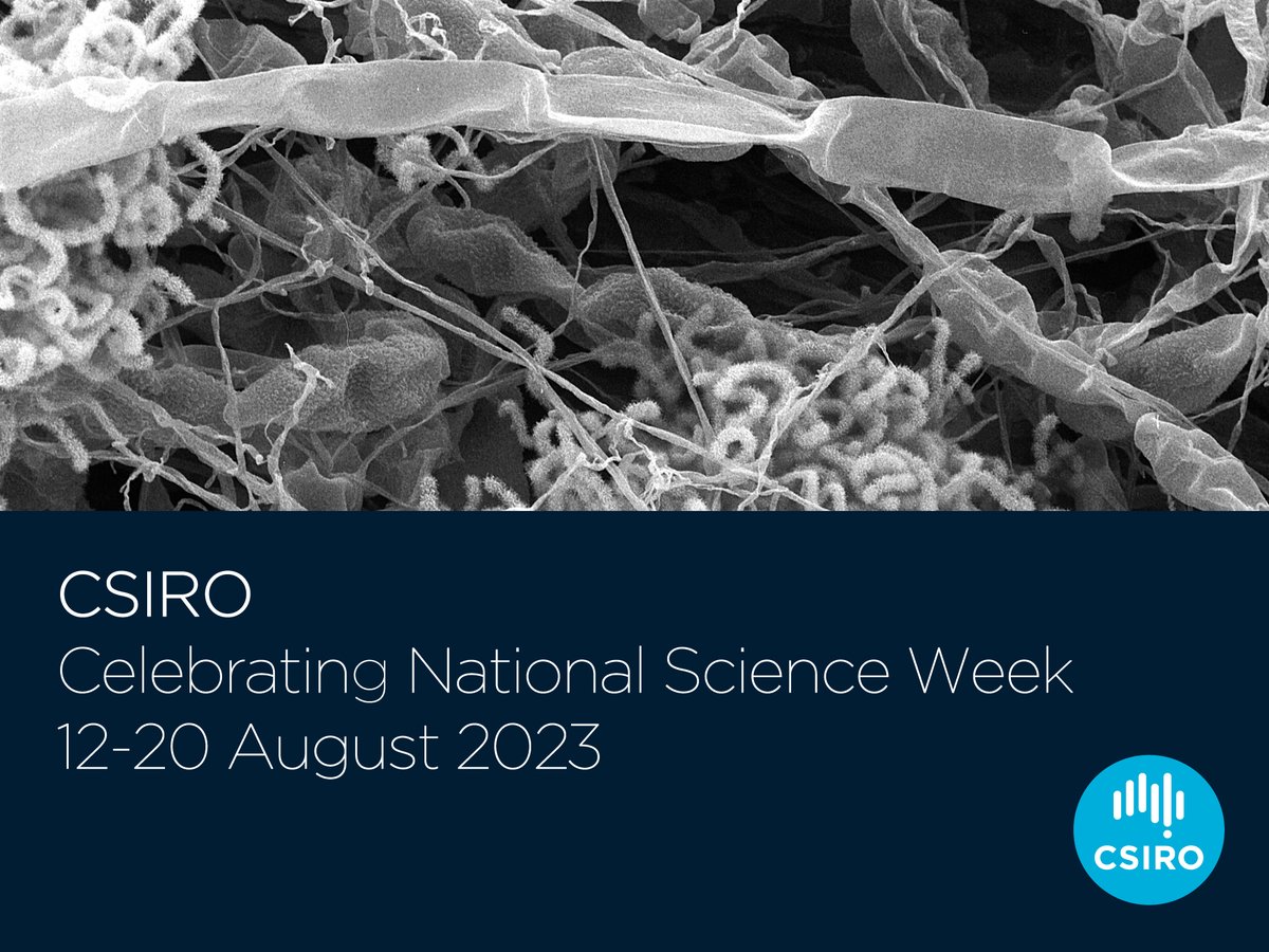 microbiome_dave's tweet photo. It’s great to be part of the innovative science in the #CSIROmicrobiomes team. Find out more about the great microbiome research this team is doing to benefit our food, environment and health:
https://t.co/dGufYuHHV2
Happy National Science Week! https://t.co/17Gh5ArQeC