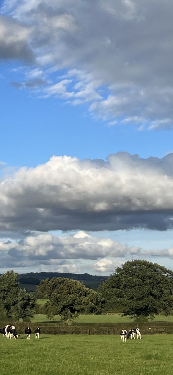 Geoffrey Spence tweet media