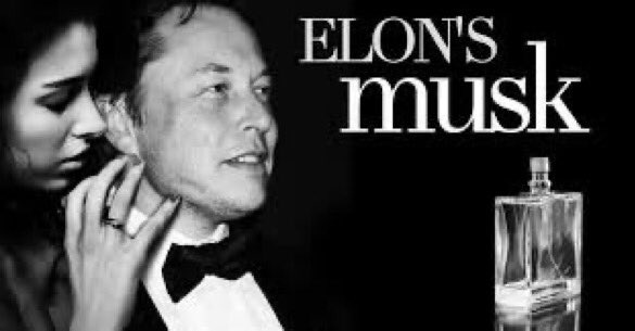 rahhead01's tweet photo. Elonโs Musk ๐ฌ #RejectedPerfumeNames https://t.co/WH93HRKiJV
