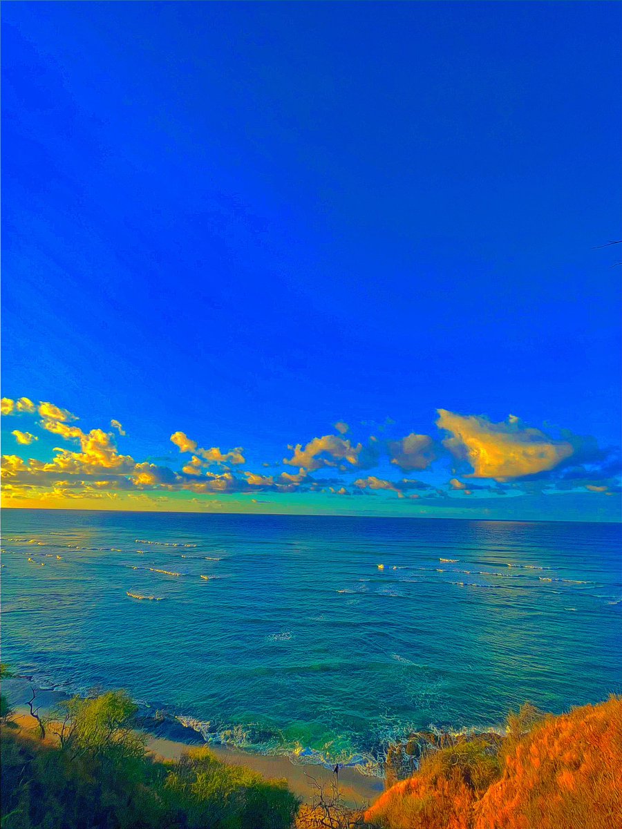 2 x 3 miles at easy pace with <a href="/SaltOic/">Afua Boahema-Lee</a> at Kapiolani Park 🤙🏾Getting ready for the 2023-2024 XC season! <a href="/ArmyWP_TrackXC/">Army Track & XC</a> @Navy_TrackField <a href="/SheldonHutchin8/">Coach Hutchinson</a> <a href="/AF_TFXC/">Air Force Track & Field/XC</a> <a href="/HawaiiRecruits/">Hawaii Recruits</a> <a href="/OregonTF/">oregontf</a> <a href="/AlabamaTrack/">Alabama Track & Field</a> <a href="/UGATrack/">Georgia Track + Field</a> <a href="/mohsathletics/">Moanalua Athletics</a> <a href="/USC_Track_Field/">USC Track & Field / XC</a> <a href="/UCLATrack_Field/">UCLA Track & Field</a>