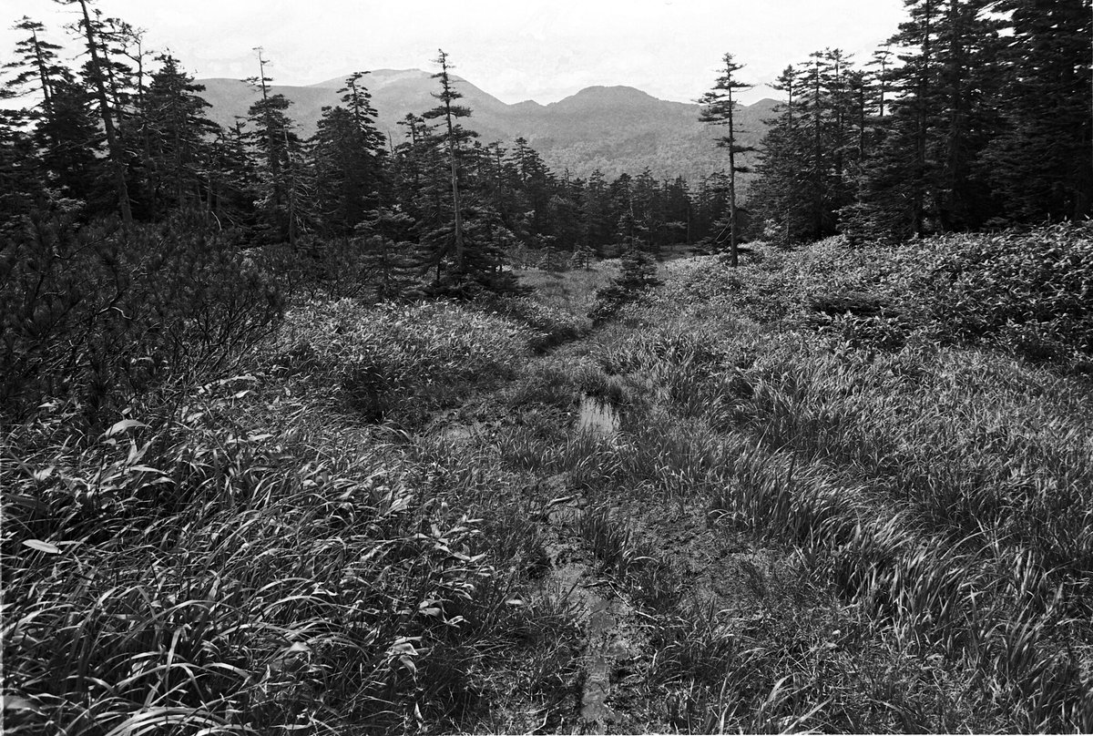 threepinner1's tweet photo. https://t.co/WGcw6n9tei
#上富良野 #原始ヶ原
#キヤノンAV1 #Kodak #Technicalpan
#BelieveInFilm #フィルムスキャン
#Plustek #OpticFilm8100
H&W control での現像で感度はISO40に設定。
中古500円のカメラでも10000×6732画素相当。
Learn DIY development and upgrade to film ! https://t.co/iENfccRolw