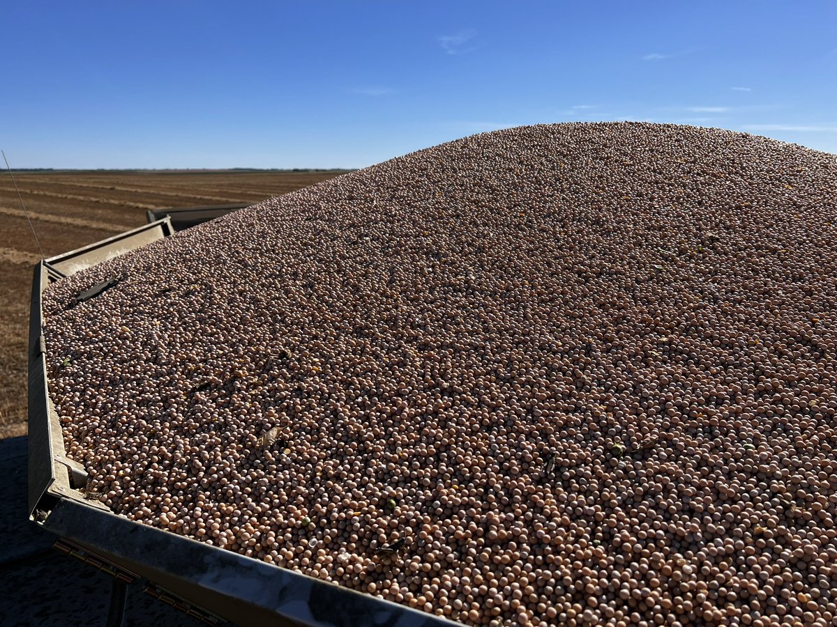 Patrick Kunz tweet media