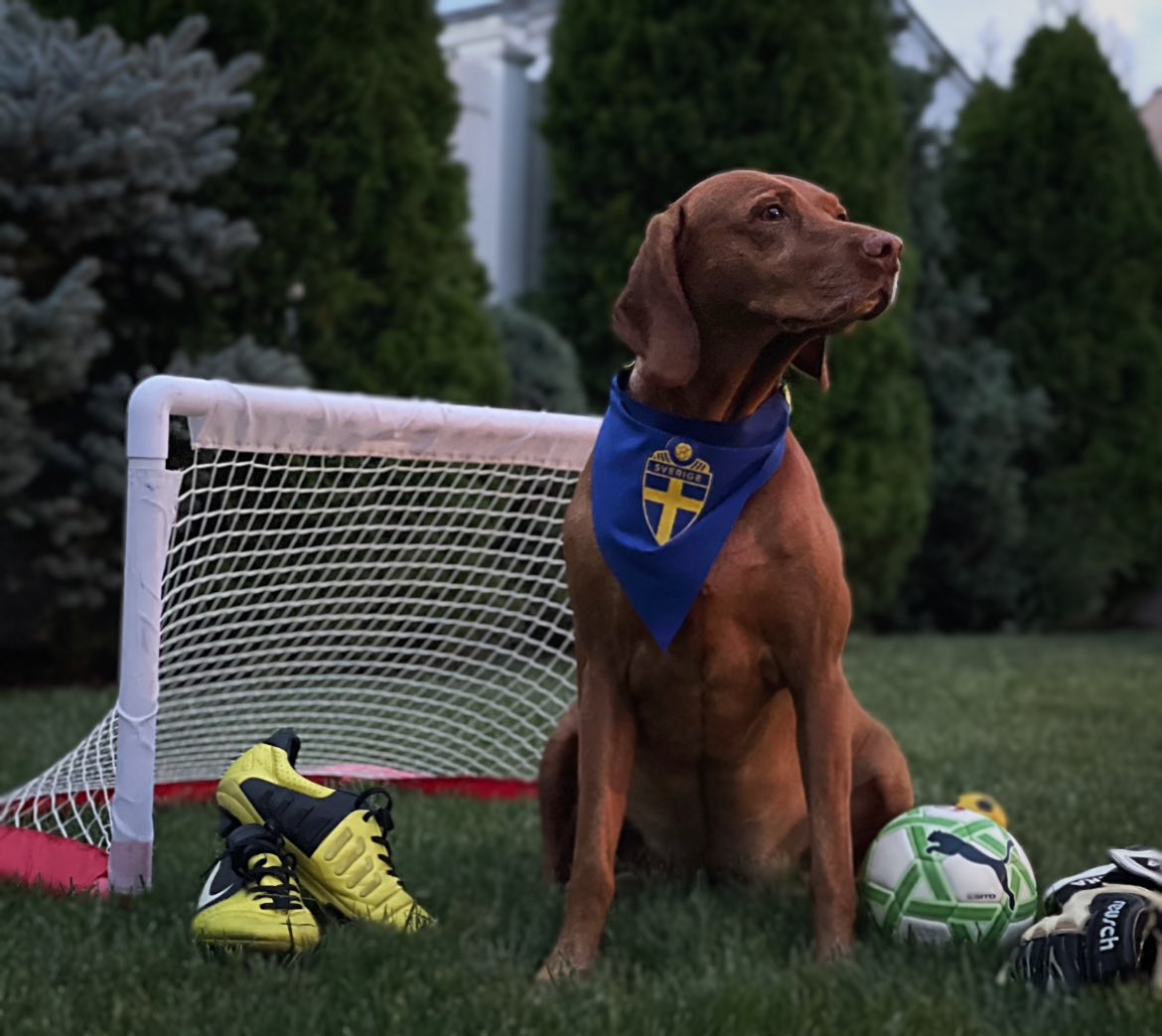 Agata Dera tweet media