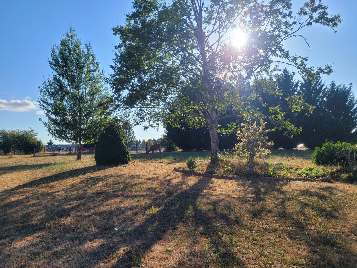 Susan_Dupres's tweet photo. @KatieDaviscourt I worked hard to buy this little slice of heaven in southwest Washington state -- and I'm ready to fight to #SaveWAState
WA State is home - and there's no place better than home.
#WeAreWAState https://t.co/YHIslQPzQQ