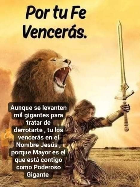 lycmonterrey's tweet photo. "En medio de la necesidad está Dios

        Sigue creyendo

                  Y verás su gloria...! https://t.co/kE98Lr2YWy