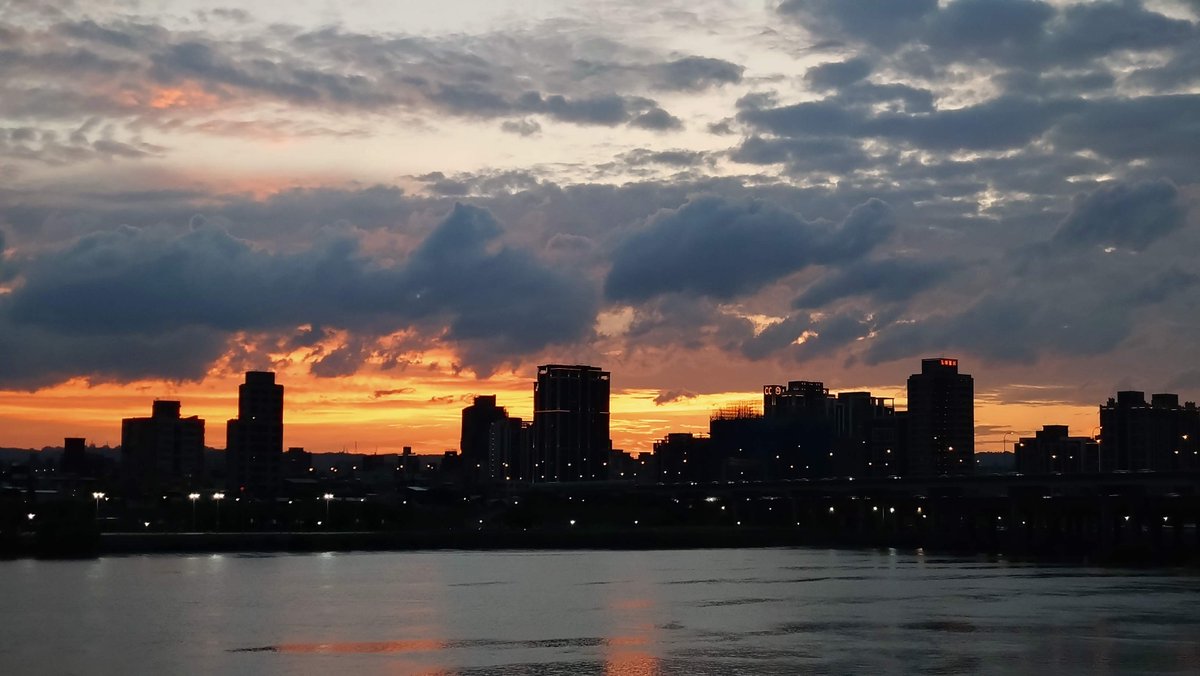 FreediverHD tweet media