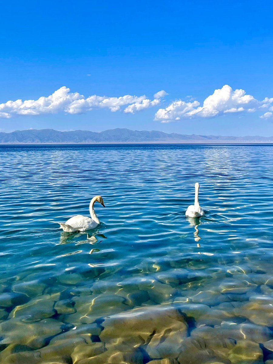 SceneryCHN's tweet photo. Warm moist airstreams from the Atlantic reach the Tianshan Mountains in China’s Xinjiang from thousands of miles away. Blocked by mountains and uplifted by terrain, they get trapped, and the resulting rains replenish the Sayram Lake, the "last tear of the Atlantic”. https://t.co/J7HiSMbbFa