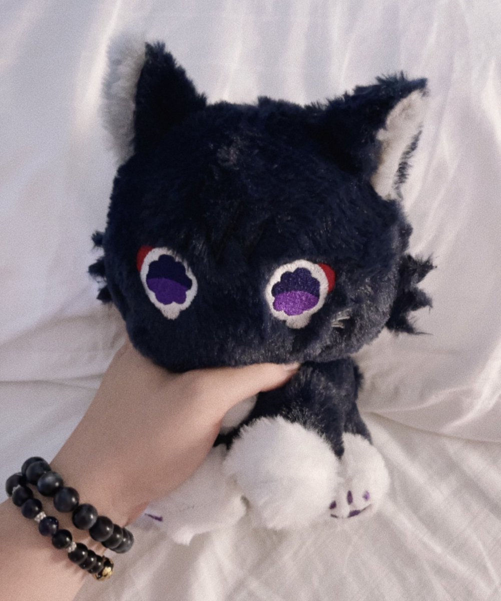shxtou's tweet photo. SCARAMEOW https://t.co/YjHm783Hy9