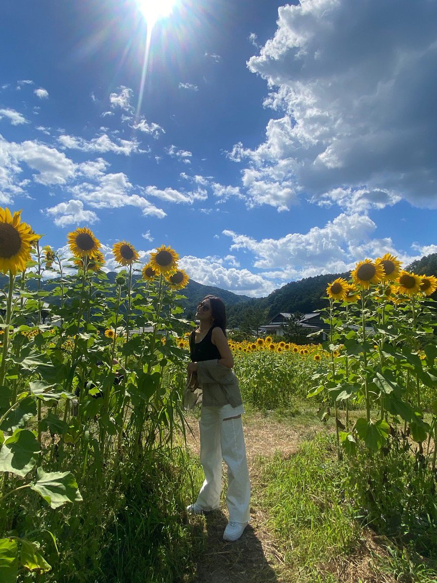 ami1012m's tweet photo. たまたま見つけたひまわり畑🌻🌻 https://t.co/wAGC5554dF
