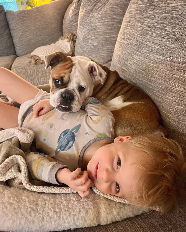 Bulldogs Lover tweet media