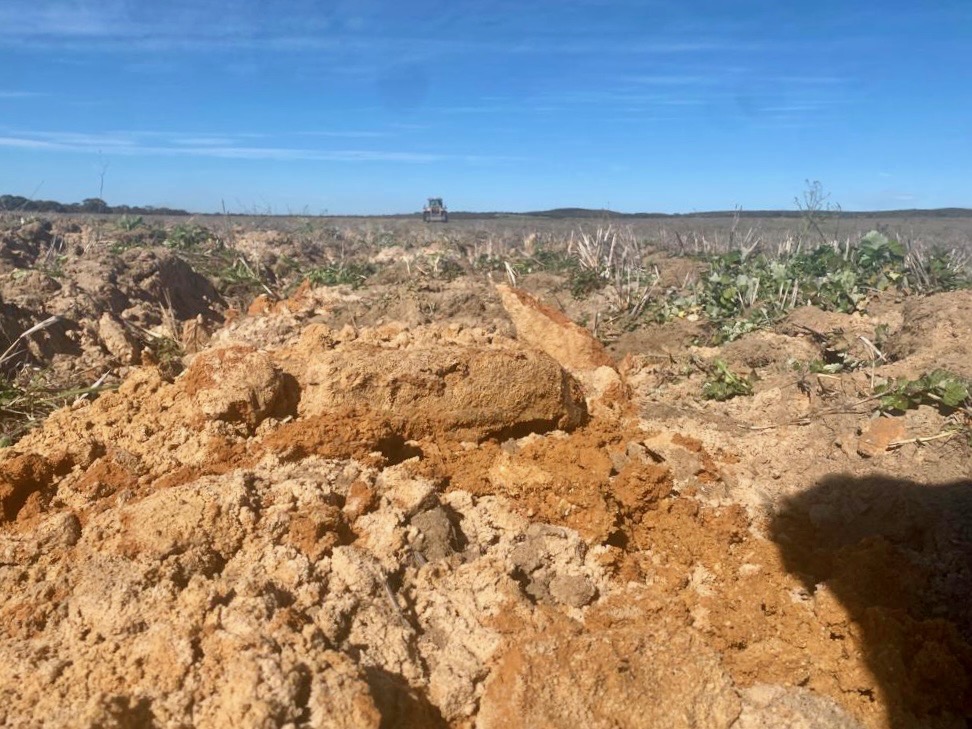 RikstarDelving's tweet image. Another day of delving done💪 We love enhancing soil structure to promote better water retention and nutrient distribution 🌱✨
#Delving #Epag #soilimprovement