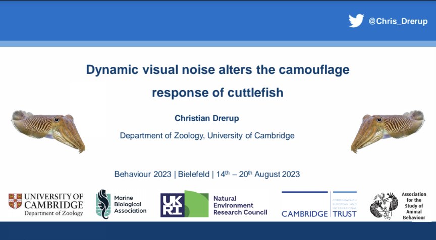 On my way to #Bielefeld for #Behaviour2023. I'm more than excited to hear about the latest findings in #animalbehaviour, and present my research on #cuttlefish #camouflage in Lecture Hall 1 on Thursday (17th) at 3.30pm. 🦑 <a href="/2023Behaviour/">Behaviour 2023</a>