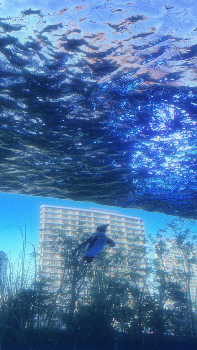 ミホ2nd🥀 tweet media