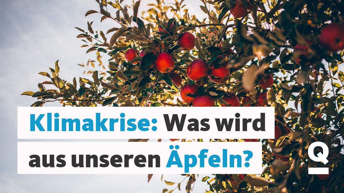quarkswdr's tweet photo. Die Klimakrise findet bei uns kaum statt? Falsch. Hier kannst du sie schon in deinem Alltag sehen. https://t.co/aiAyA1HZyN https://t.co/QzzgodRQvv