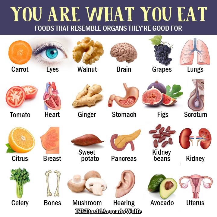 OrganicLiveFood's tweet photo. Beneficial #herbs for different organs and various health problems  🌿

https://t.co/A7Nxo0PSpW https://t.co/YJEwa5KDTV